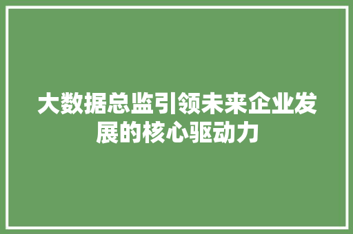 大数据总监引领未来企业发展的核心驱动力