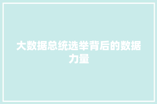 大数据总统选举背后的数据力量