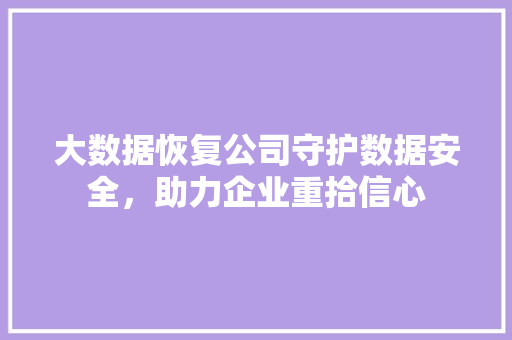大数据恢复公司守护数据安全，助力企业重拾信心