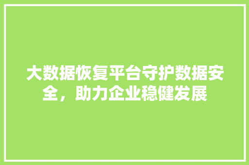 大数据恢复平台守护数据安全，助力企业稳健发展