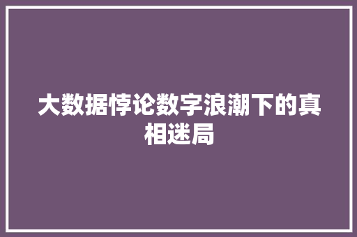 大数据悖论数字浪潮下的真相迷局
