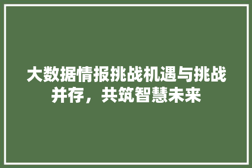 大数据情报挑战机遇与挑战并存，共筑智慧未来