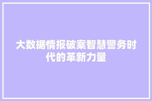 大数据情报破案智慧警务时代的革新力量 Web前端