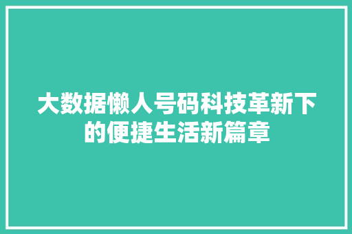 大数据懒人号码科技革新下的便捷生活新篇章