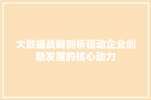 大数据战略剖析驱动企业创新发展的核心动力