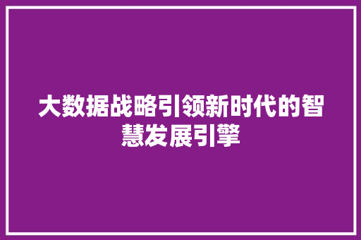 大数据战略引领新时代的智慧发展引擎