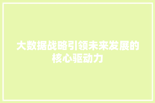 大数据战略引领未来发展的核心驱动力