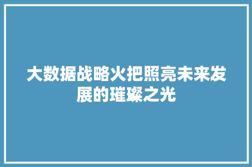大数据战略火把照亮未来发展的璀璨之光 WordPress教程