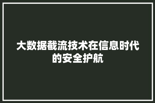 大数据截流技术在信息时代的安全护航