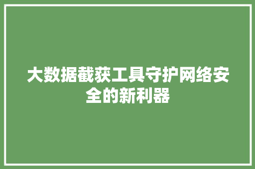 大数据截获工具守护网络安全的新利器