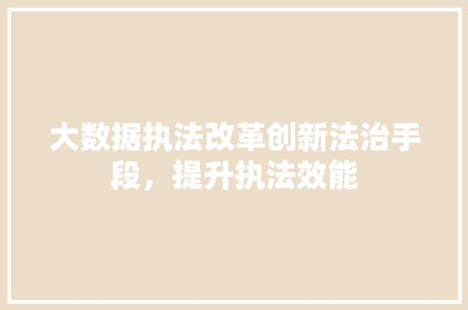 大数据执法改革创新法治手段，提升执法效能