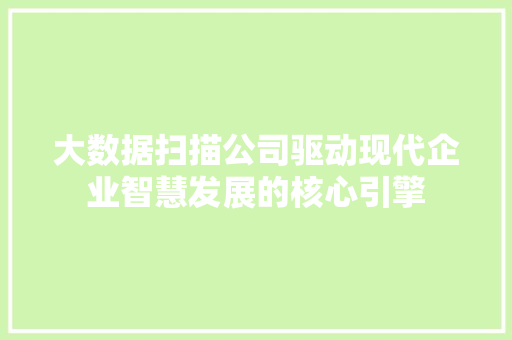大数据扫描公司驱动现代企业智慧发展的核心引擎