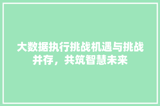 大数据执行挑战机遇与挑战并存，共筑智慧未来