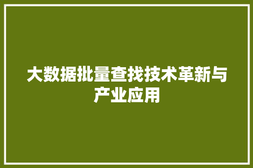 大数据批量查找技术革新与产业应用