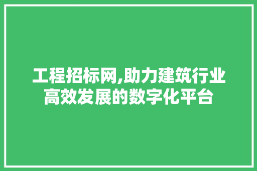 工程招标网,助力建筑行业高效发展的数字化平台
