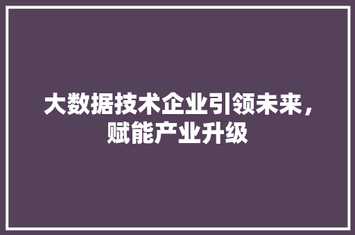大数据技术企业引领未来，赋能产业升级 服务器/数据库
