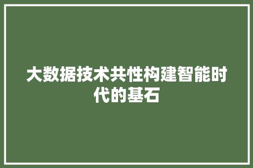 大数据技术共性构建智能时代的基石