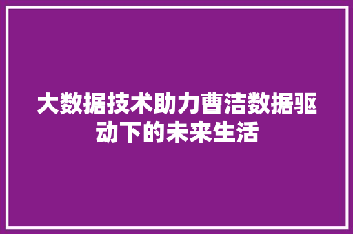大数据技术助力曹洁数据驱动下的未来生活