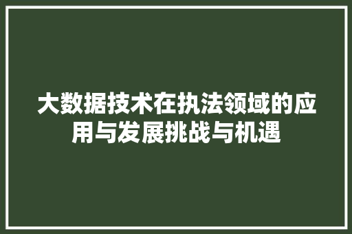 大数据技术在执法领域的应用与发展挑战与机遇