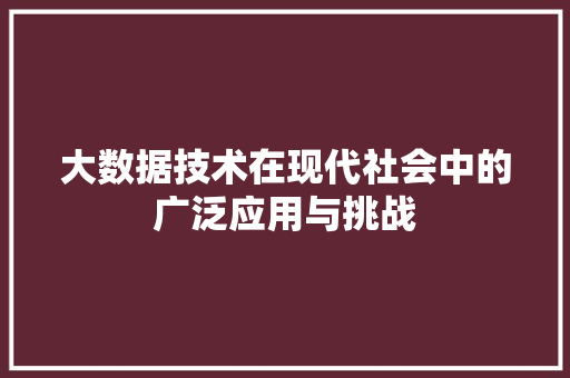 大数据技术在现代社会中的广泛应用与挑战