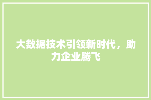大数据技术引领新时代，助力企业腾飞