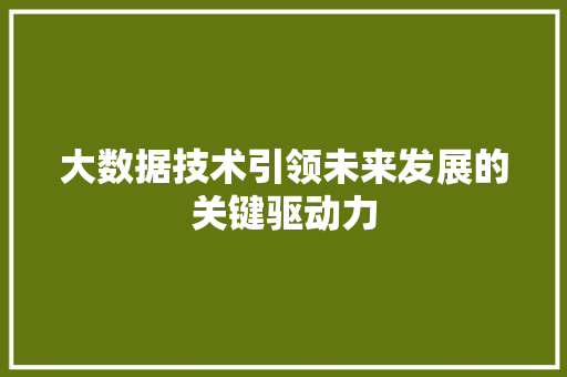 大数据技术引领未来发展的关键驱动力