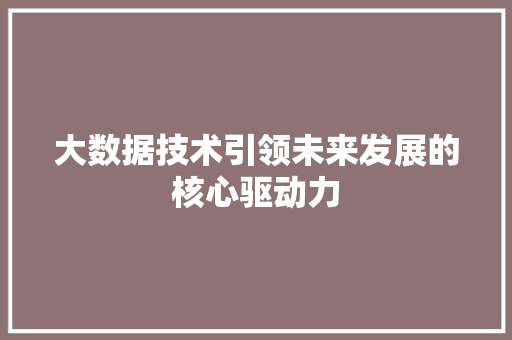 大数据技术引领未来发展的核心驱动力