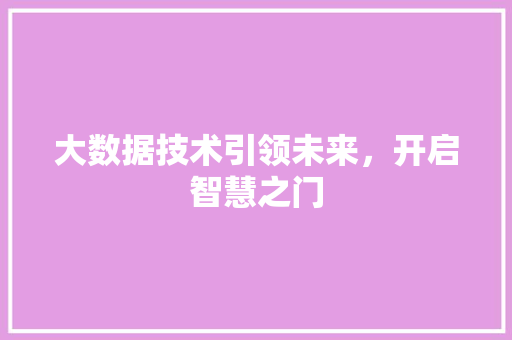 大数据技术引领未来，开启智慧之门