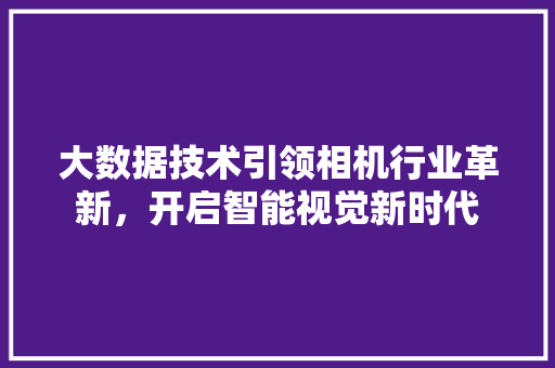 大数据技术引领相机行业革新，开启智能视觉新时代
