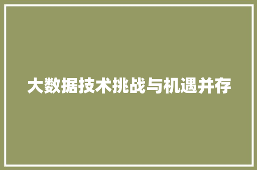 大数据技术挑战与机遇并存