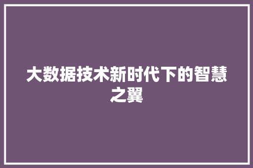 大数据技术新时代下的智慧之翼