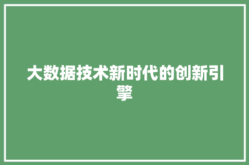 大数据技术新时代的创新引擎