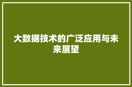 大数据技术的广泛应用与未来展望