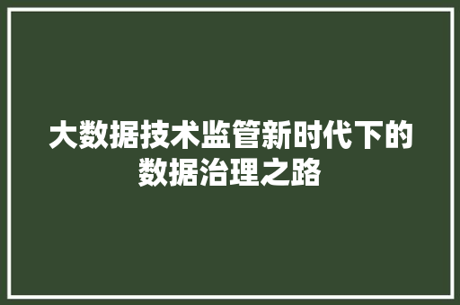 大数据技术监管新时代下的数据治理之路