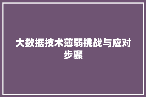 大数据技术薄弱挑战与应对步骤
