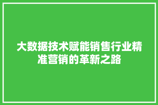 大数据技术赋能销售行业精准营销的革新之路