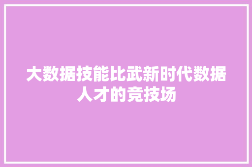 大数据技能比武新时代数据人才的竞技场