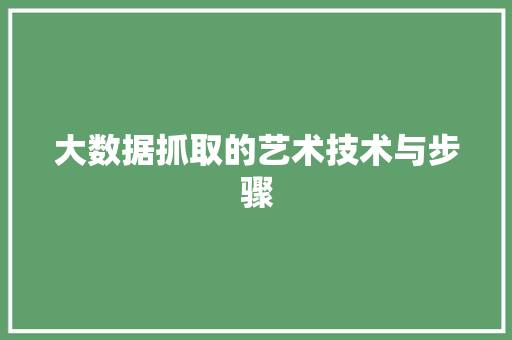 大数据抓取的艺术技术与步骤