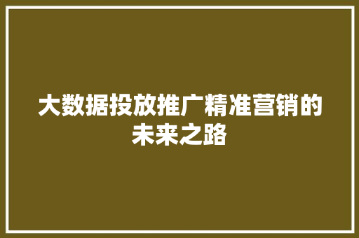 大数据投放推广精准营销的未来之路