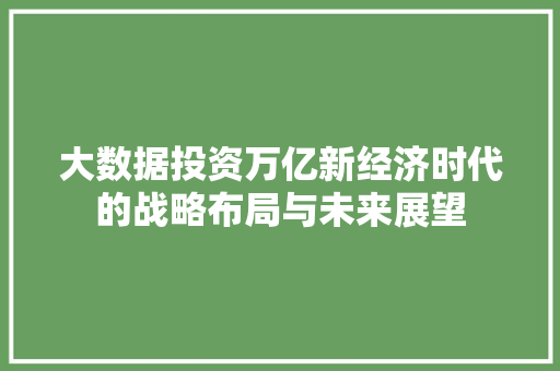 大数据投资万亿新经济时代的战略布局与未来展望
