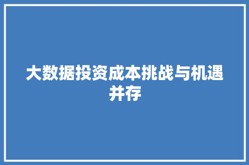 大数据投资成本挑战与机遇并存
