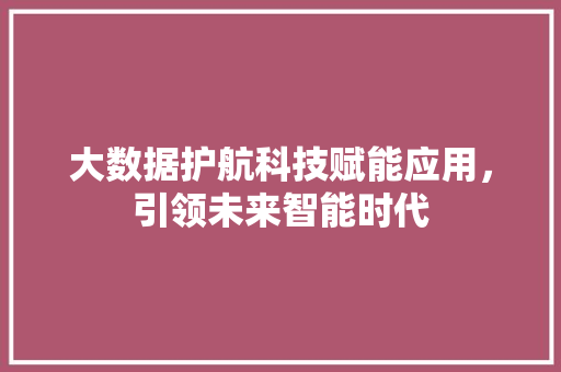 大数据护航科技赋能应用，引领未来智能时代