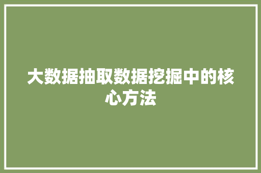大数据抽取数据挖掘中的核心方法