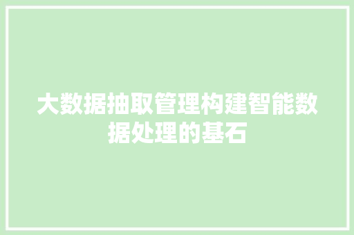 大数据抽取管理构建智能数据处理的基石