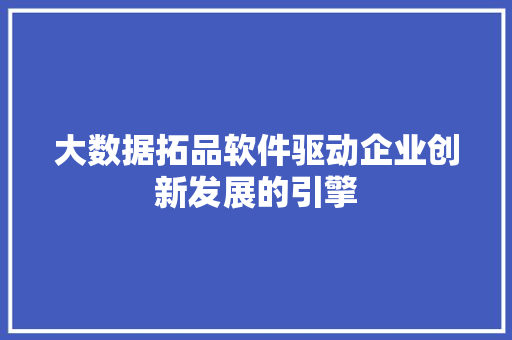 大数据拓品软件驱动企业创新发展的引擎