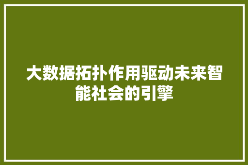 大数据拓扑作用驱动未来智能社会的引擎