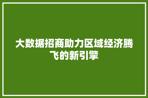 大数据招商助力区域经济腾飞的新引擎