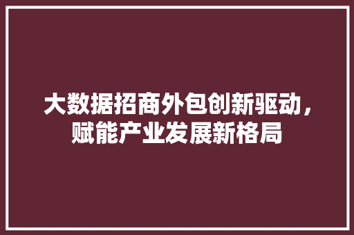 大数据招商外包创新驱动，赋能产业发展新格局