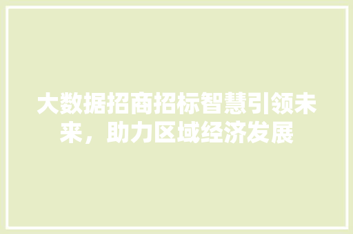 大数据招商招标智慧引领未来，助力区域经济发展
