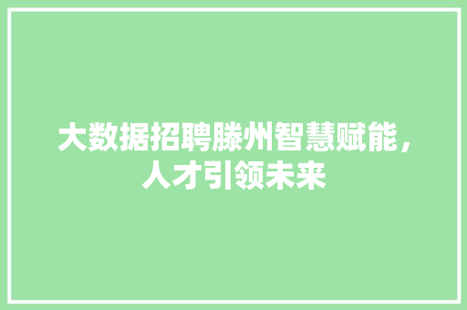 大数据招聘滕州智慧赋能，人才引领未来